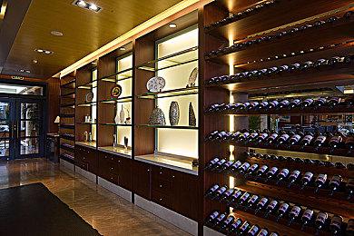 《宝可梦：大集结》新宝可梦“索罗亚克”10月27日上线